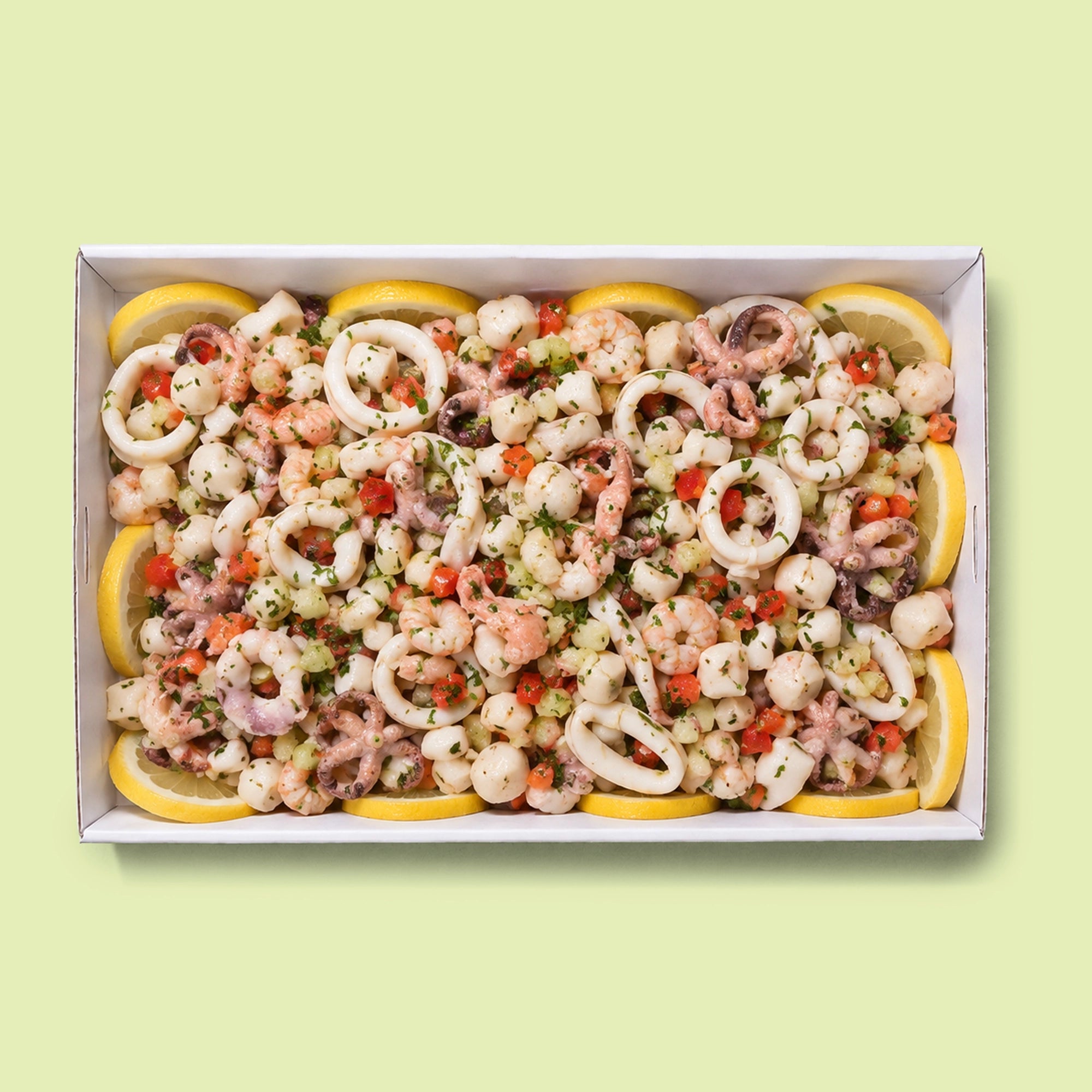 Italian seafood salad platter with calamari rings, baby octopus, prawns, diced tomato and parsley, served on a bed of fresh lemon slices